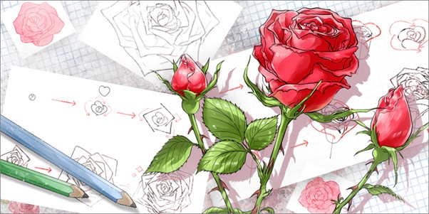 Cách vẽ hoa hồng cách điệu 3D? 
