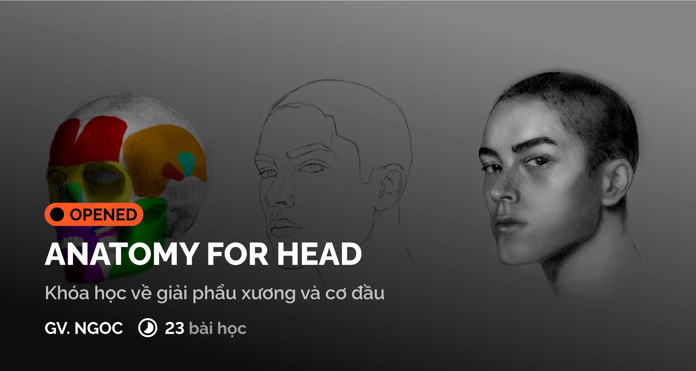 ANATOMY FOR HEAD