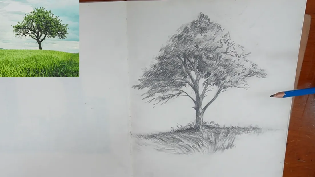 #8 Vẽ ký họa cây cối
