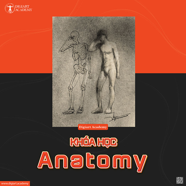 ve-anatomy